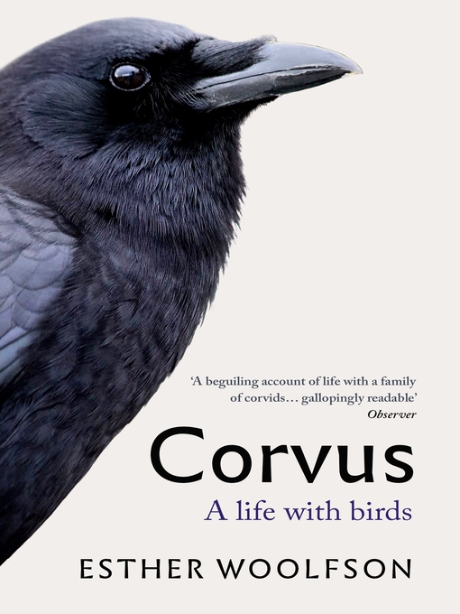 Title details for Corvus by Esther Woolfson - Available